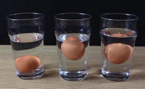 bad hard boiled egg test|do eggs float when boiled.